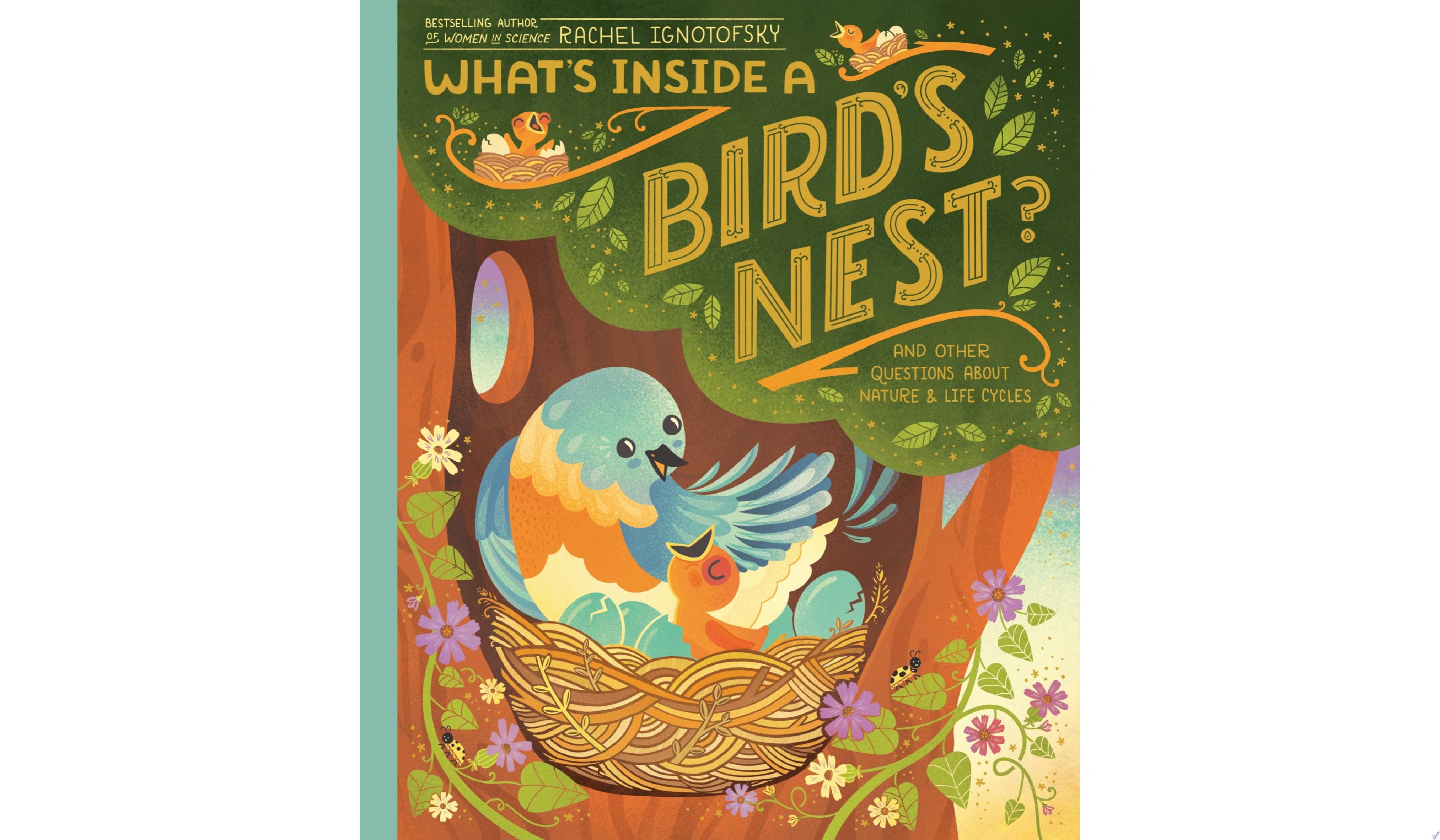 Image for "What&#039;s Inside A Bird&#039;s Nest?"