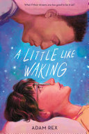 Image for "A Little Like Waking"