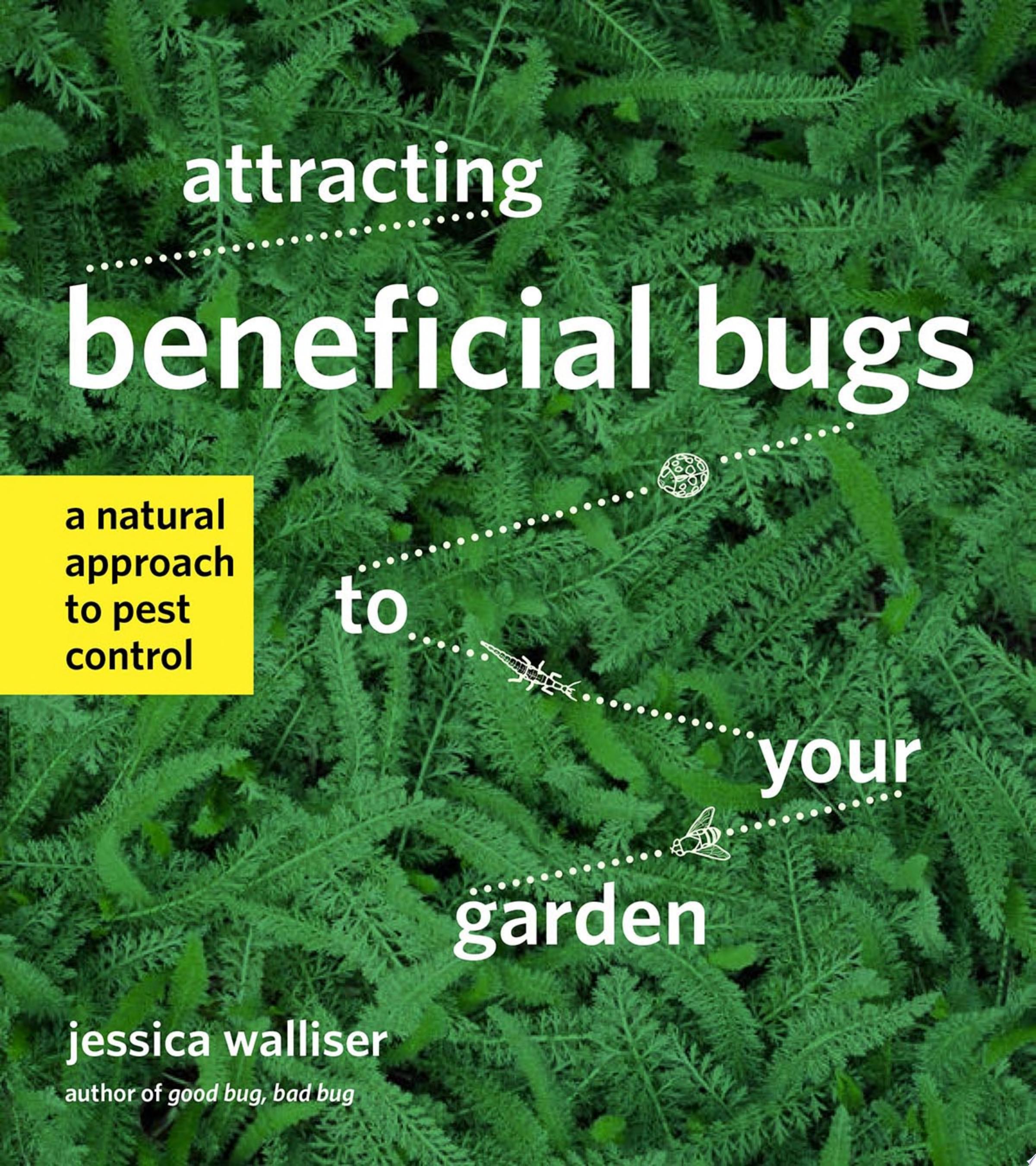 Image for "Attracting Beneficial Bugs to Your Garden"