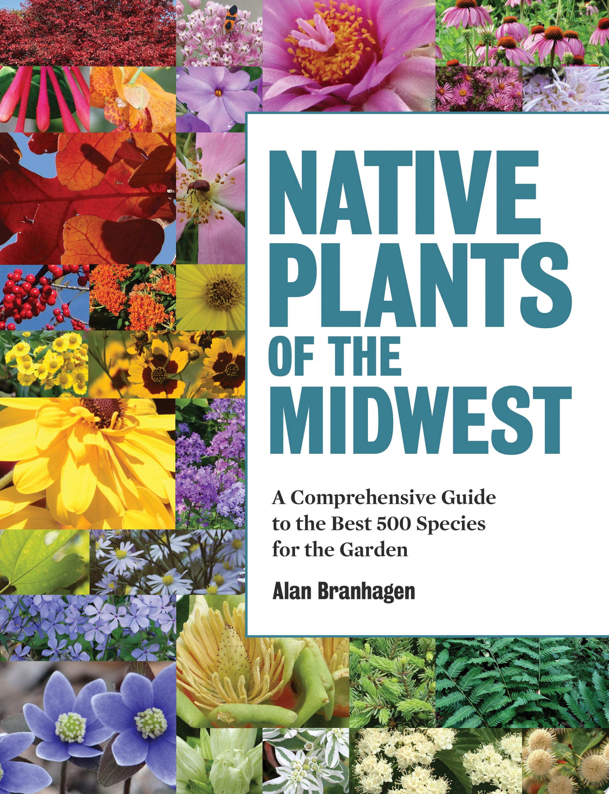 Image for "Native Plants of the Midwest"