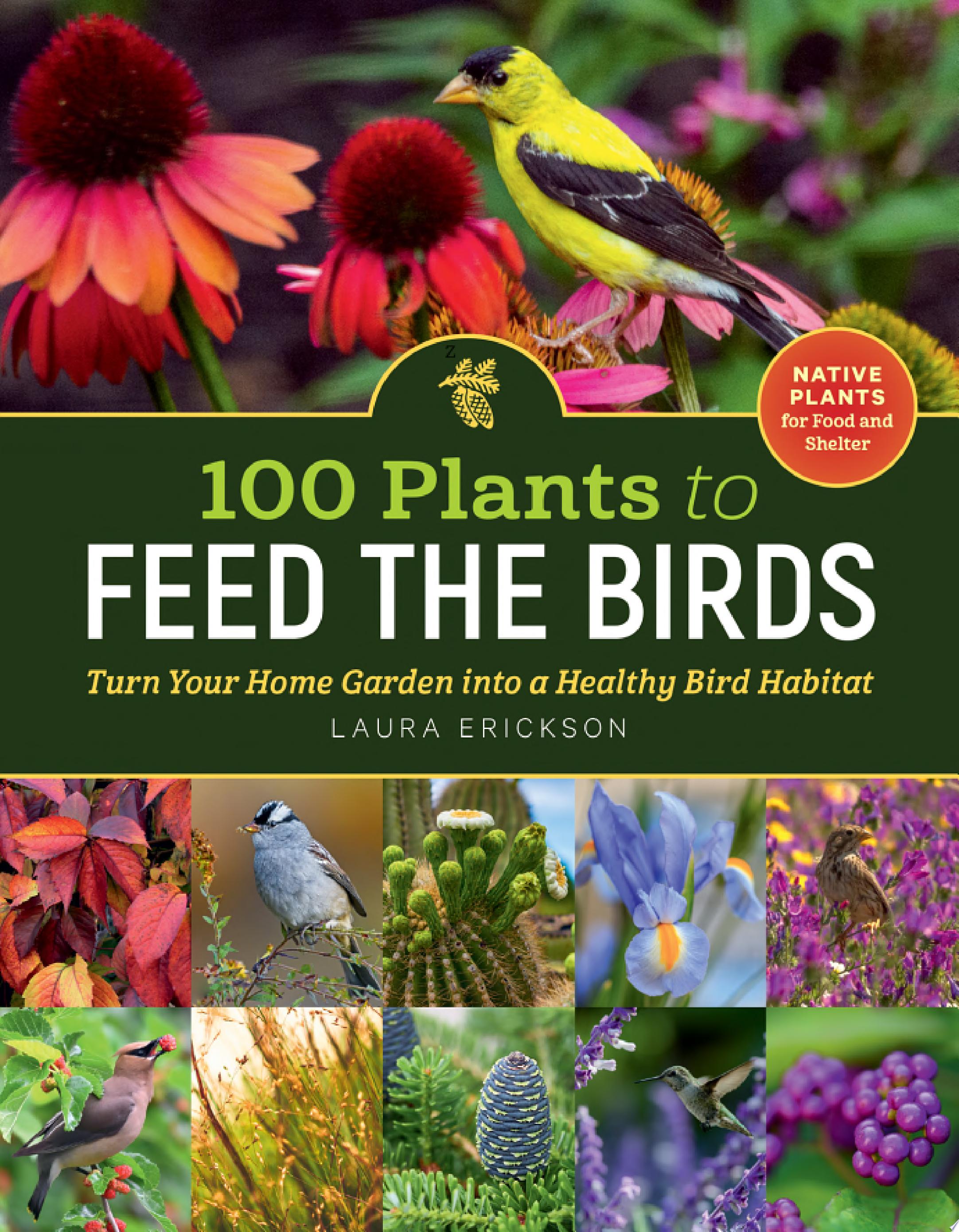 Image for "100 Plants to Feed the Birds"