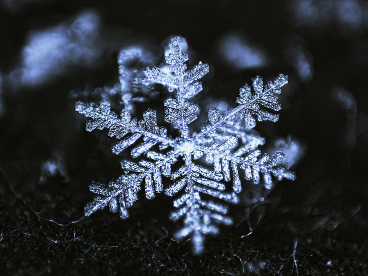 Photo of snowflake