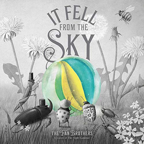 Image for "It Fell From the Sky"