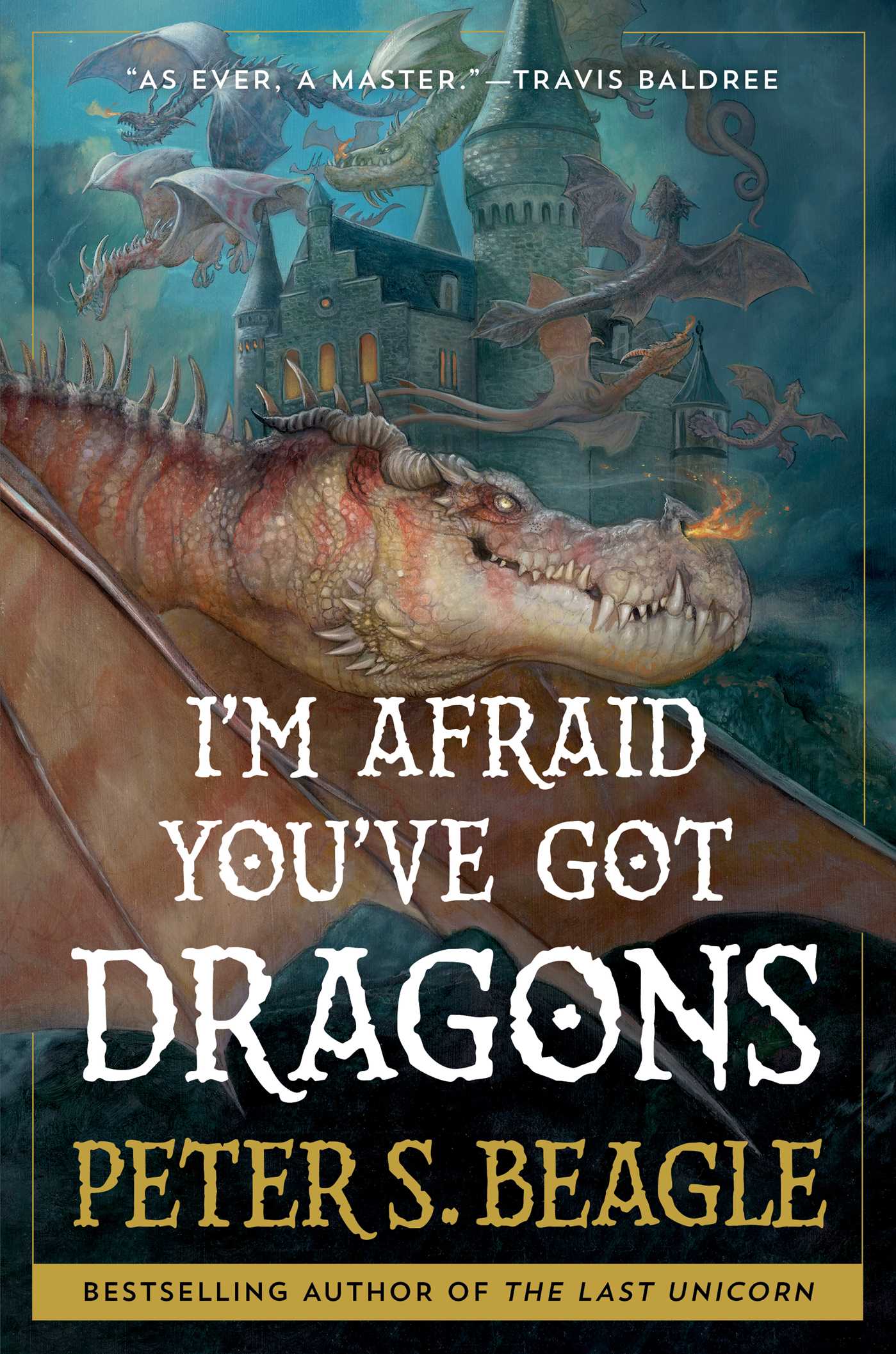 Image for "I'm Afraid You've Got Dragons"