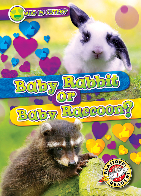 Image for "Baby Rabbit or Baby Raccoon?"